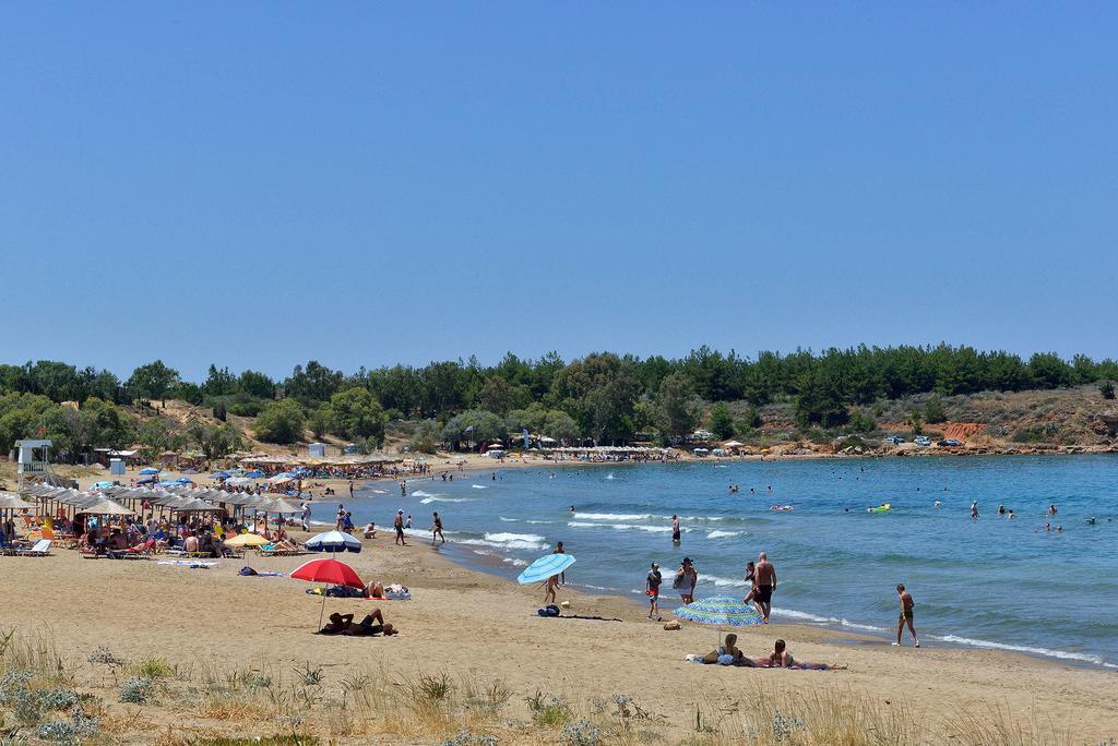 Anna'S Sea House Near To A Sandy Beach! Kato Daratso Oda fotoğraf